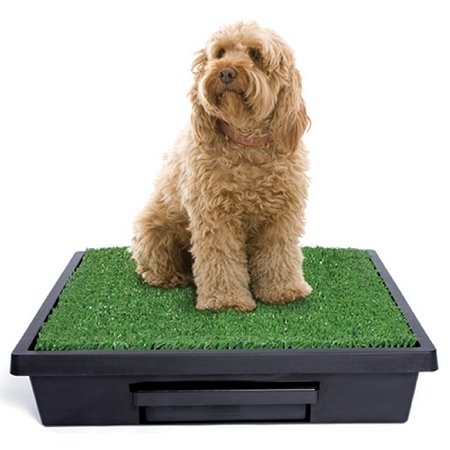 Pet Loo Potty Training System - Large Pet Loo Potty Training System - Large